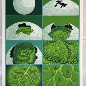 タイガー立石　Cabbage Moon